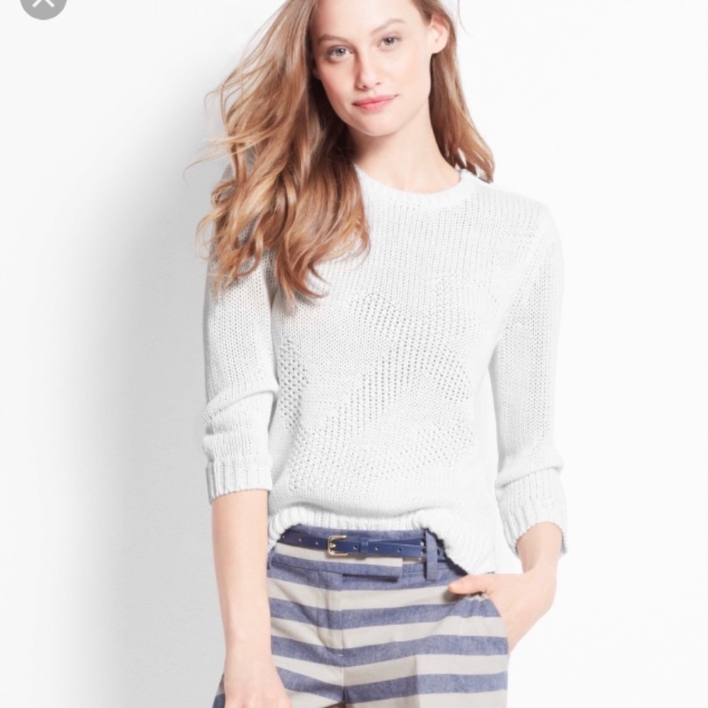 Ann Taylor Anchor Knit Sweater (white/cream)